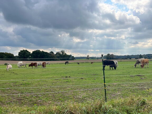 23-09-23 13-32-11 7351